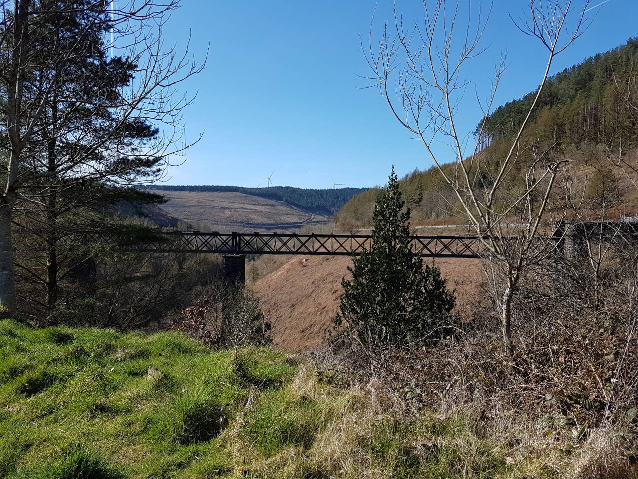 The Viaduct in Cymmer Village
